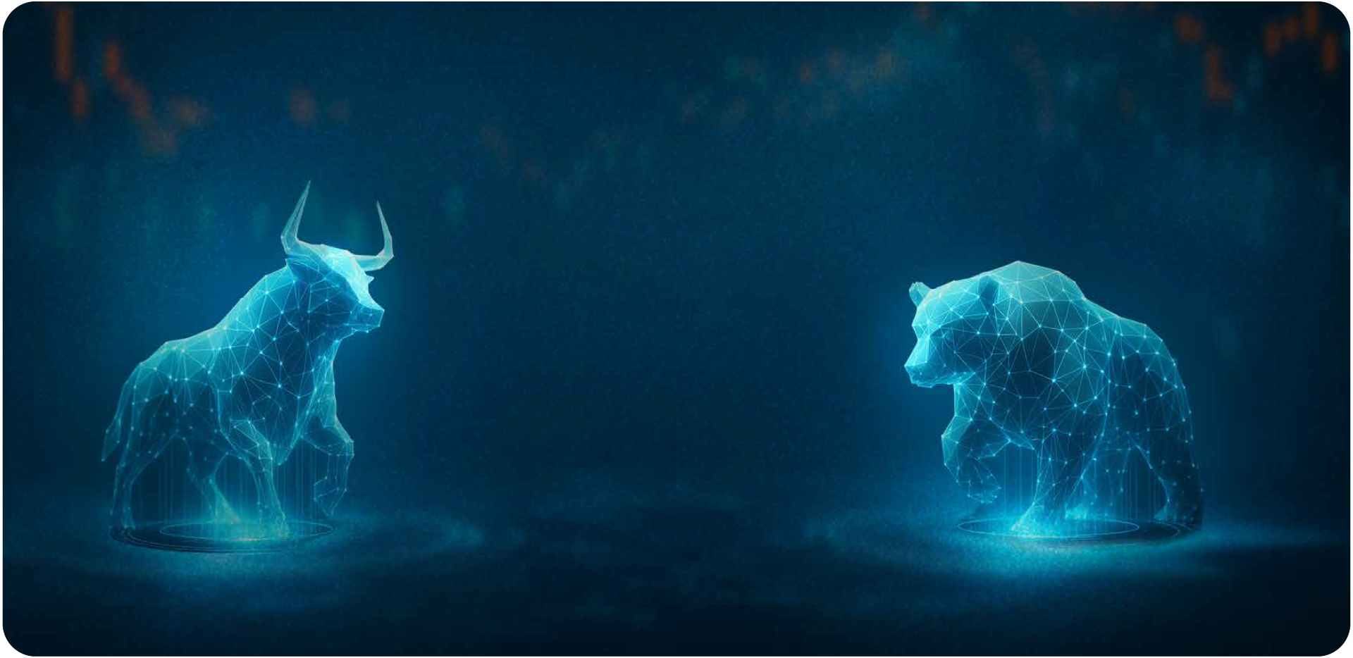 Bull Market in Sri Lanka